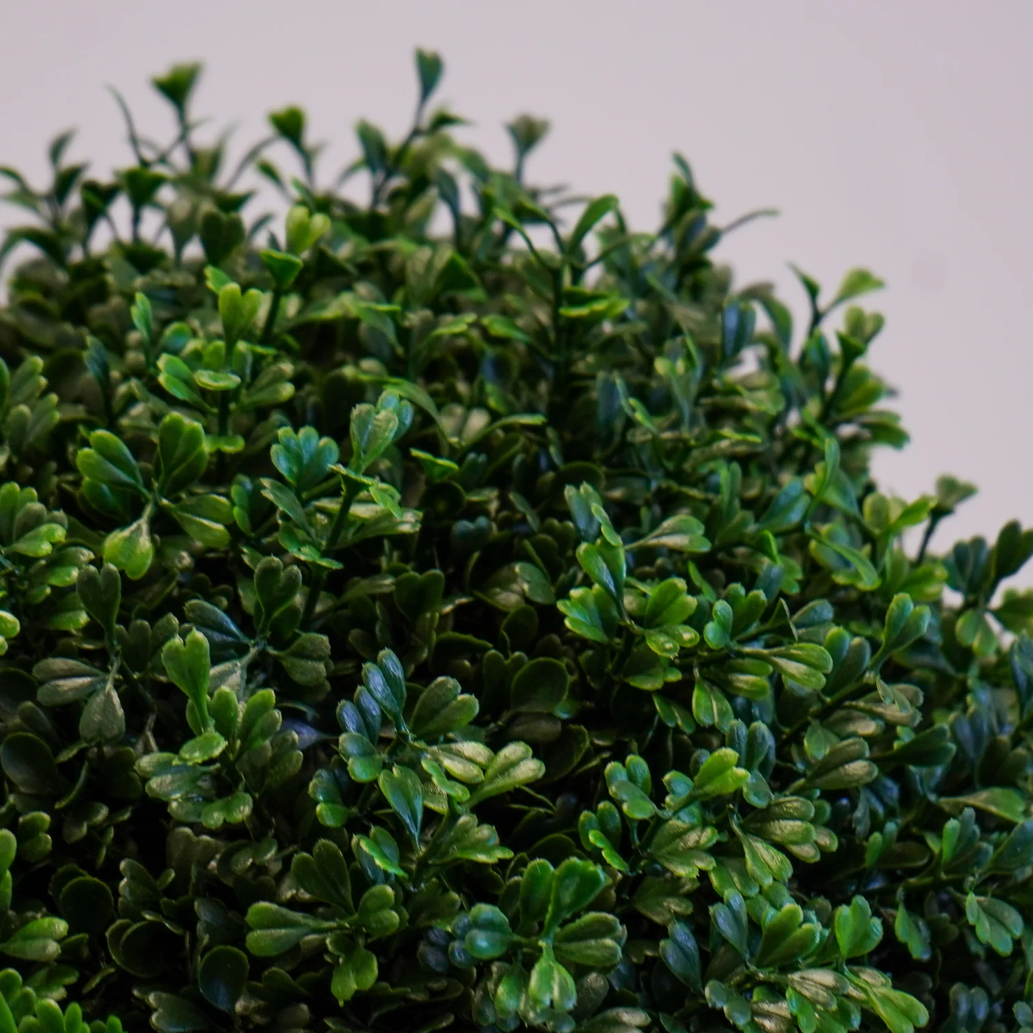 Artificial Outdoor Boxwood Dual Orb Tree - Image 5