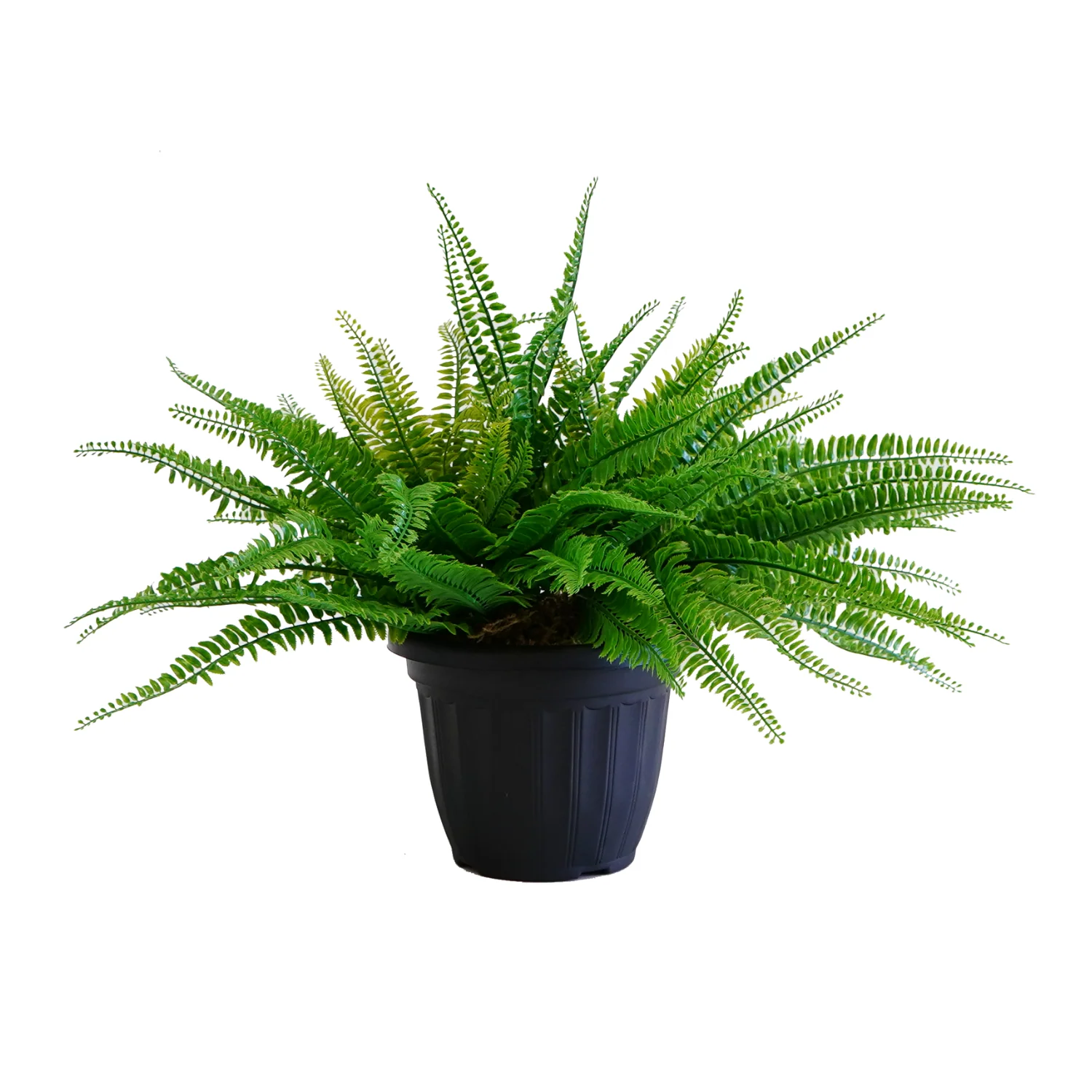 Artificial Outdoor Fern Plant