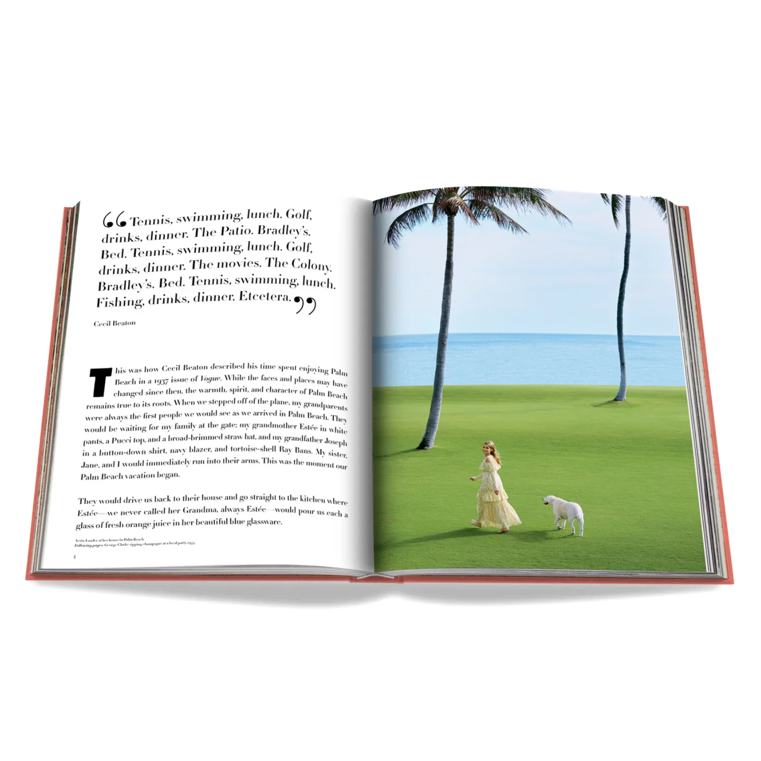Assouline Palm Beach Cloth Hardcover Book - Image 7