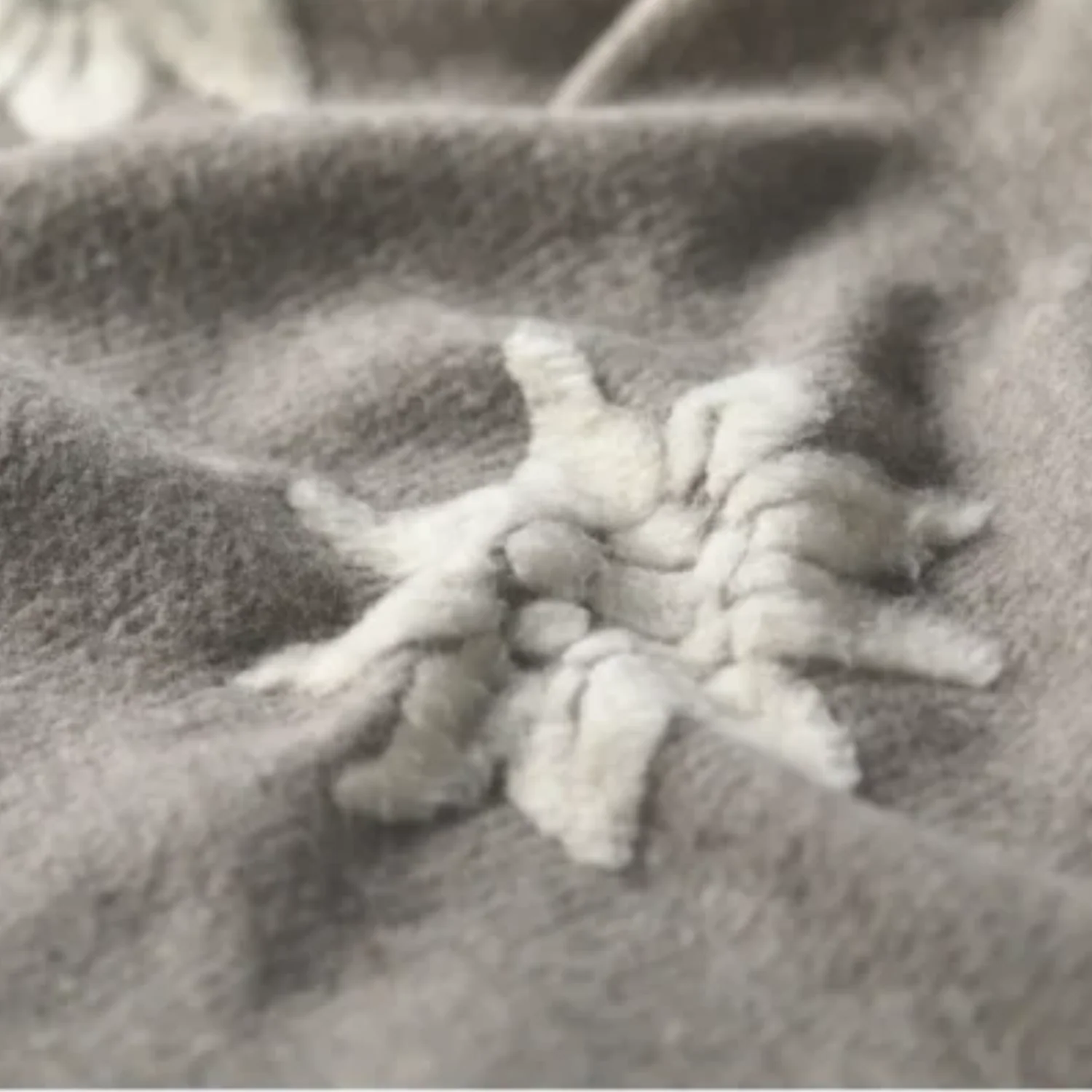 Blushing Blooms Ecru/Grey Throw Blanket - Image 2