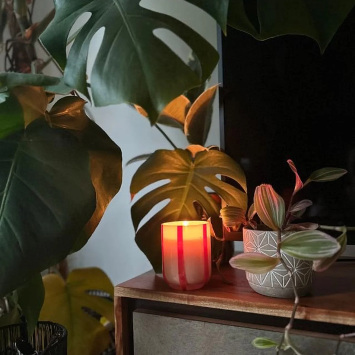 Bold Glass 10oz Candle - Orange/Blossom/Basil - Image 5