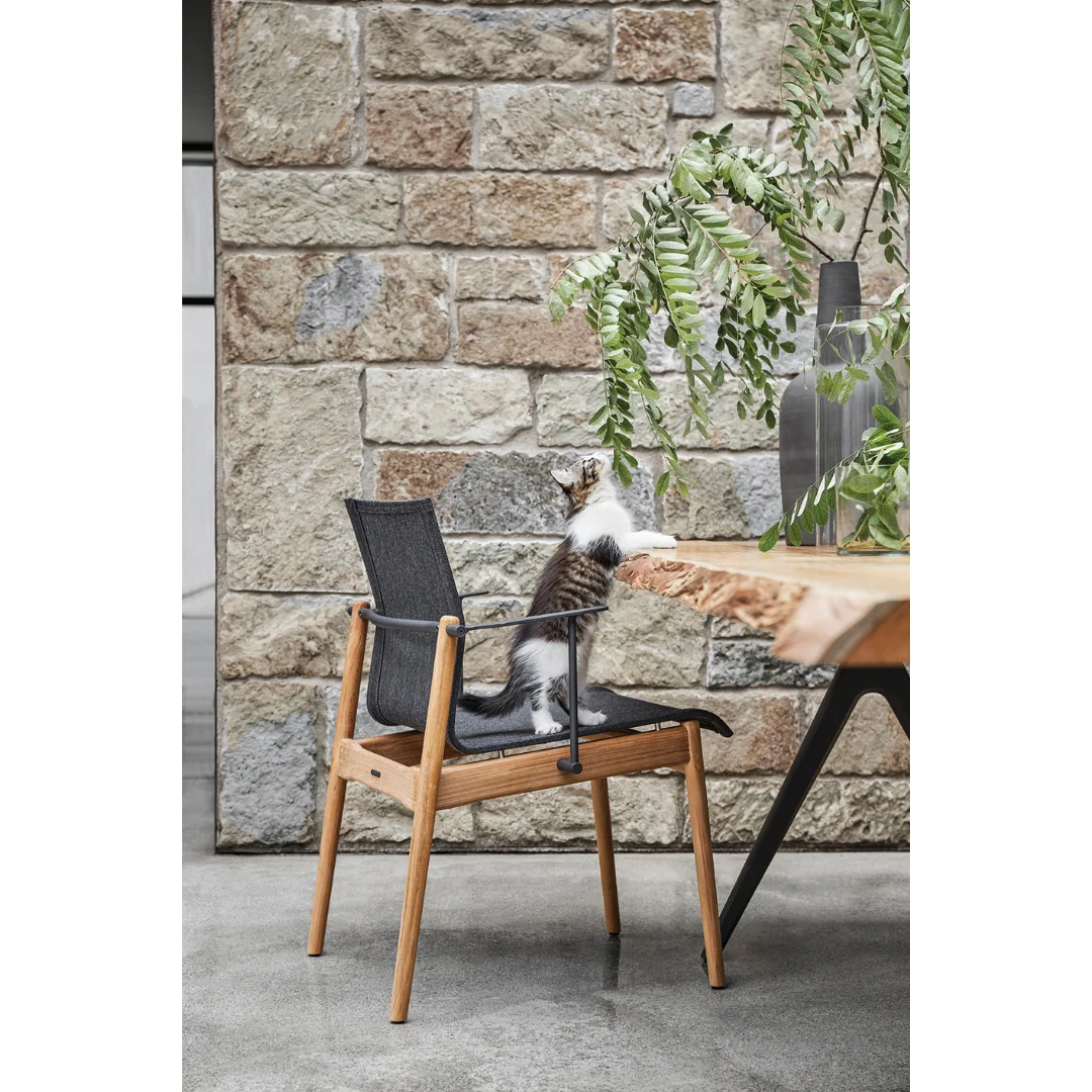 Gloster Sway Anthracite Arm Chair - Image 3
