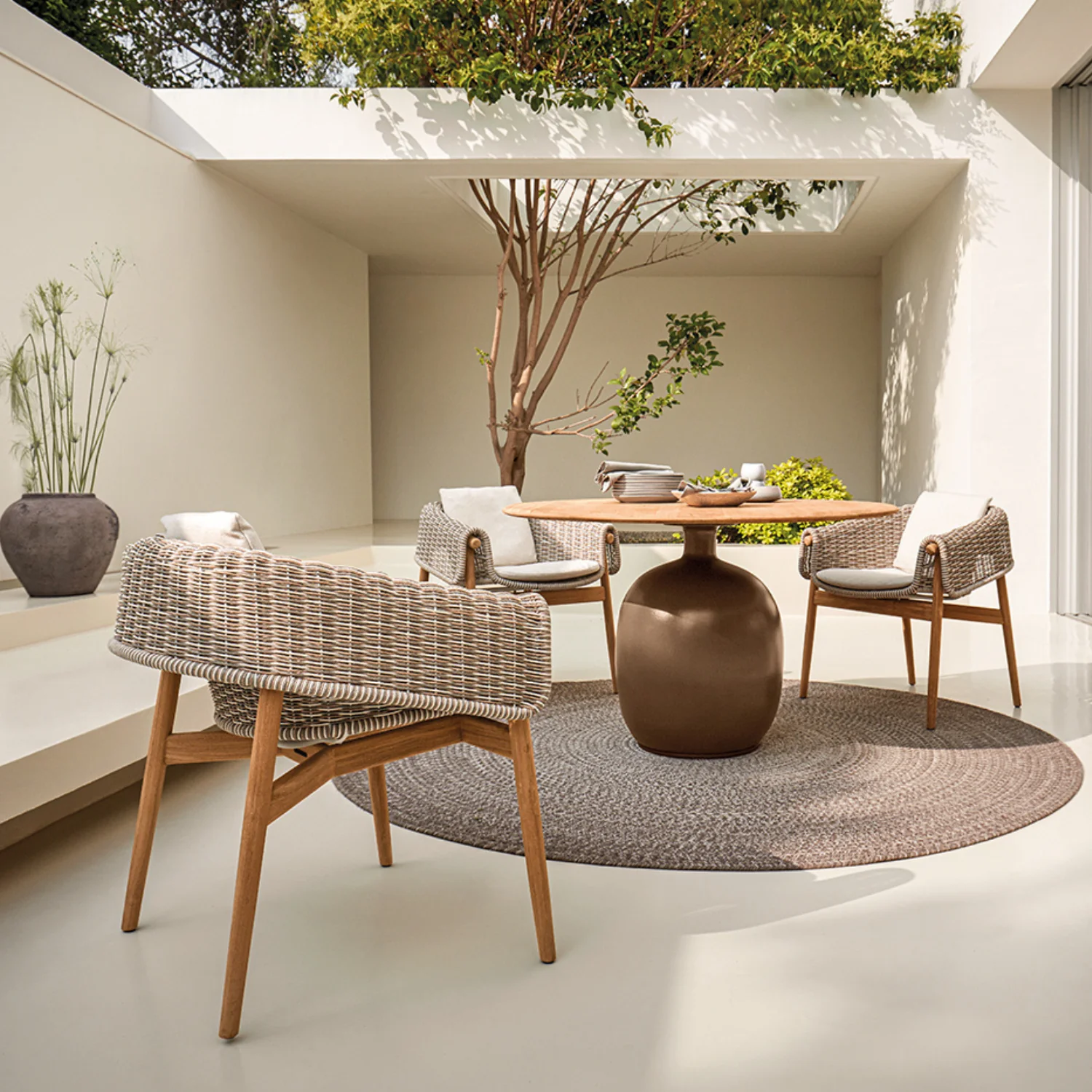 Gloster Wrap Dining Chair - Image 2