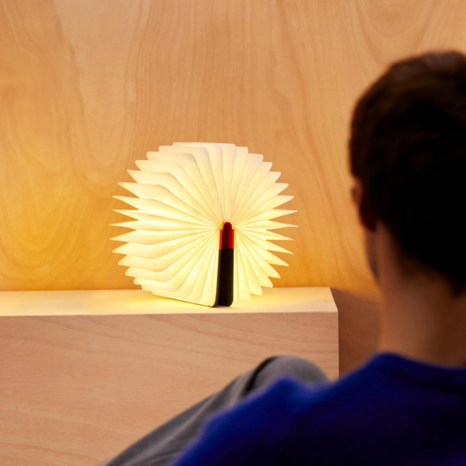 Lito Classic Walnut Book Light - Image 2