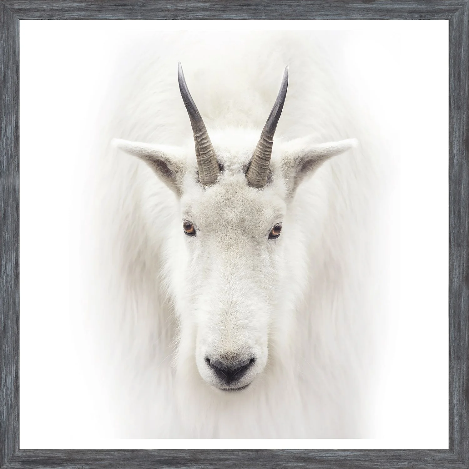Mountain Goat Small Wall Art