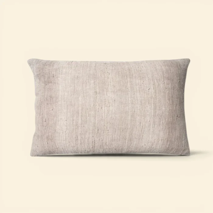 Ombre Tofino Kidney Toss Pillow