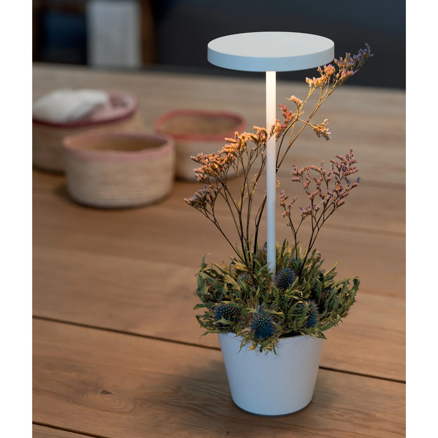 Poldina Pro Upside Down Cordless Table Lamp - Image 11