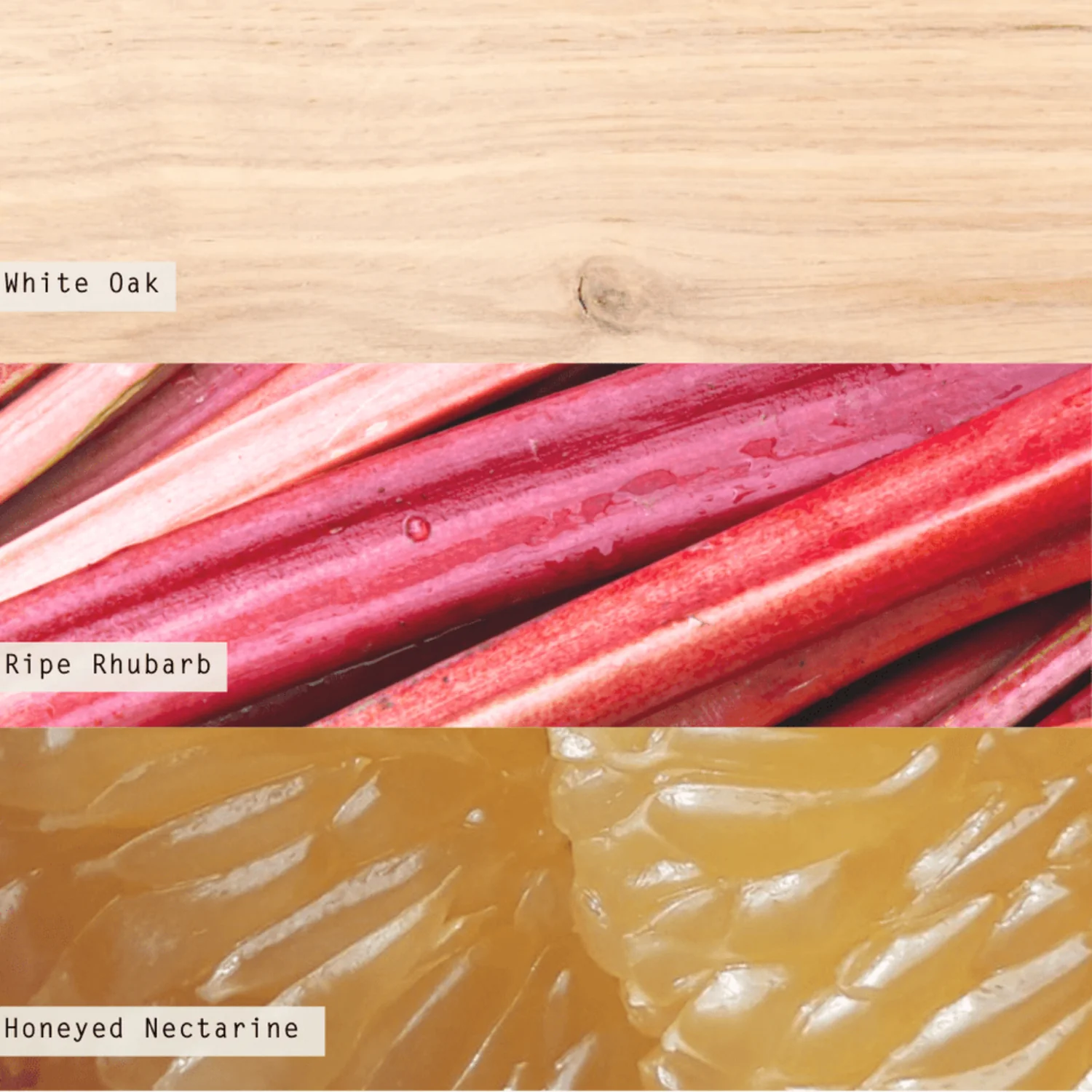 Rhubarb Honey 11.8oz Tin Candle - Image 5