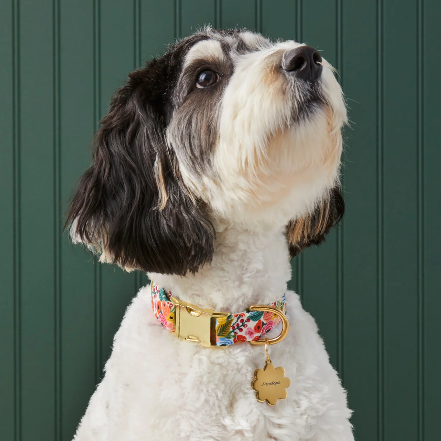 Rifle Paper Co. Pup Dog Collar - Garden Party - Image 6