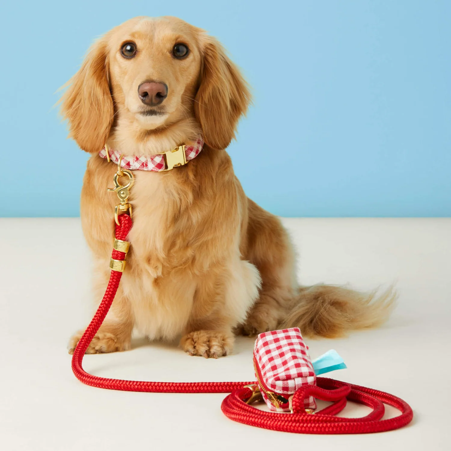 Ruff Trekker Dog Leash- Ruby Red - Image 6