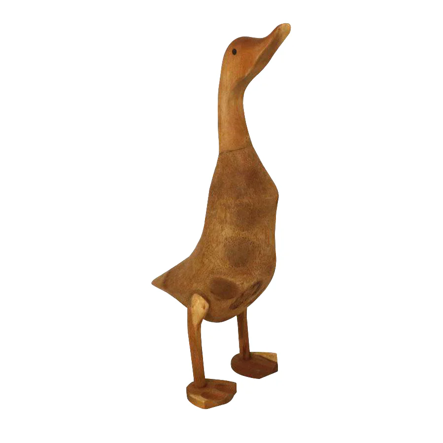 Teak Duck
