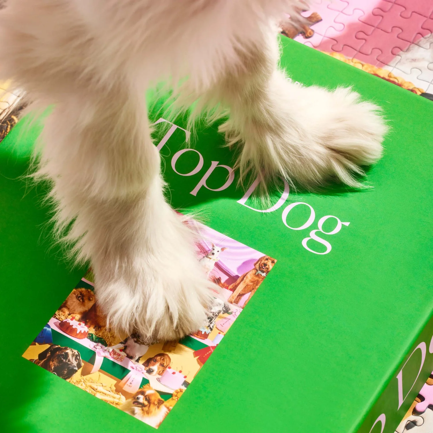 Top Dog Indoor Jigsaw 1000pc Puzzle - Image 3